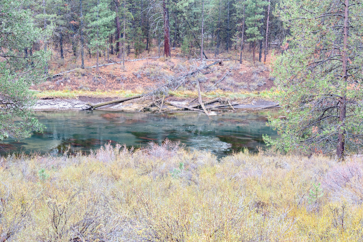 LaPine State Park - Deschutes Loop Hike Image