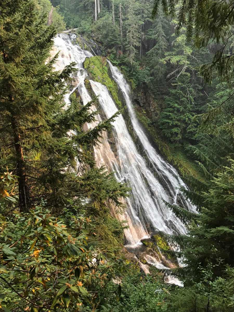 Diamond Creek Falls Hike Image
