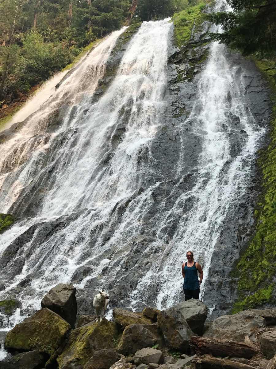 Diamond Creek Falls Hike Image