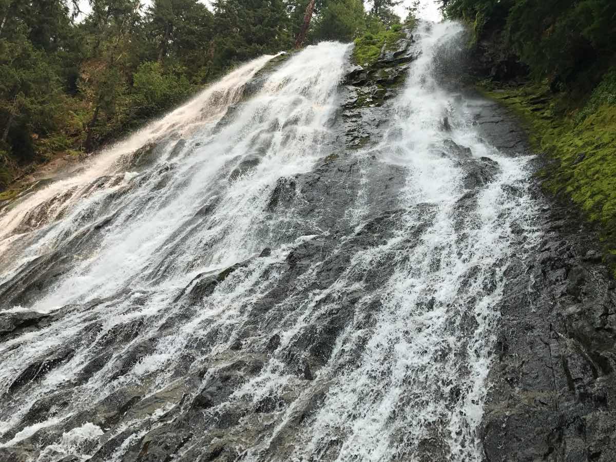 Diamond Creek Falls Hike Image