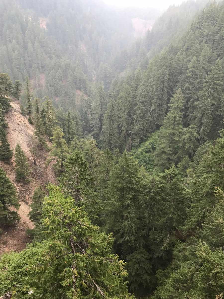 Diamond Creek Falls Hike Image