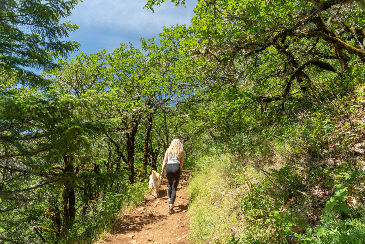 Dog Mountain Hike Image