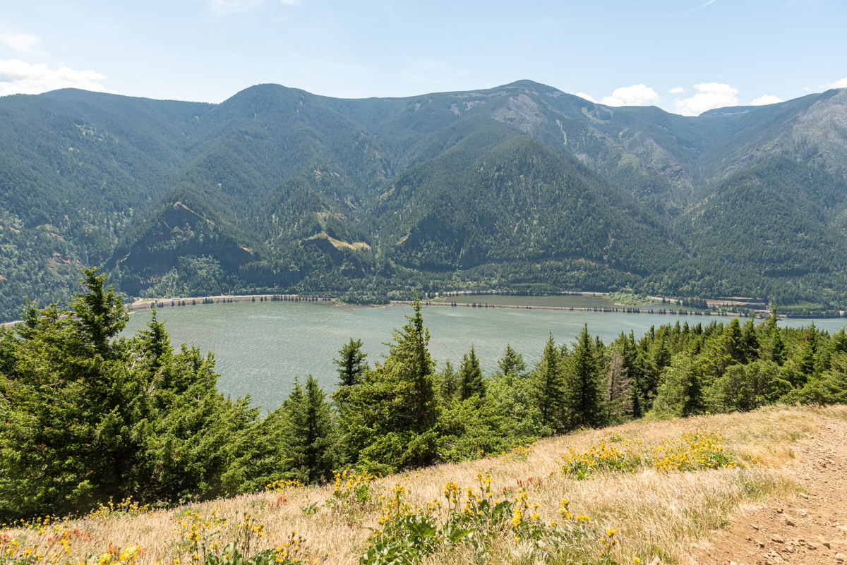 Dog Mountain Hike Image