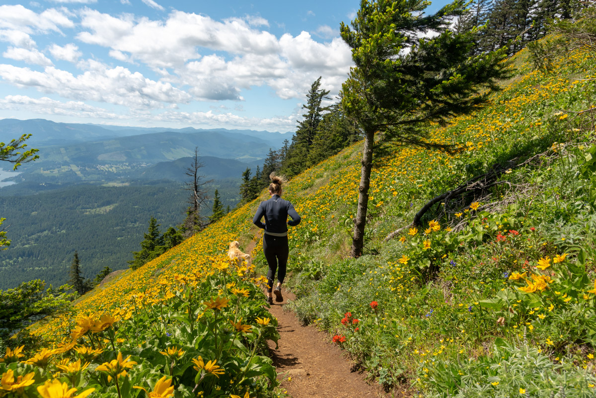 Dog Mountain Hike Image