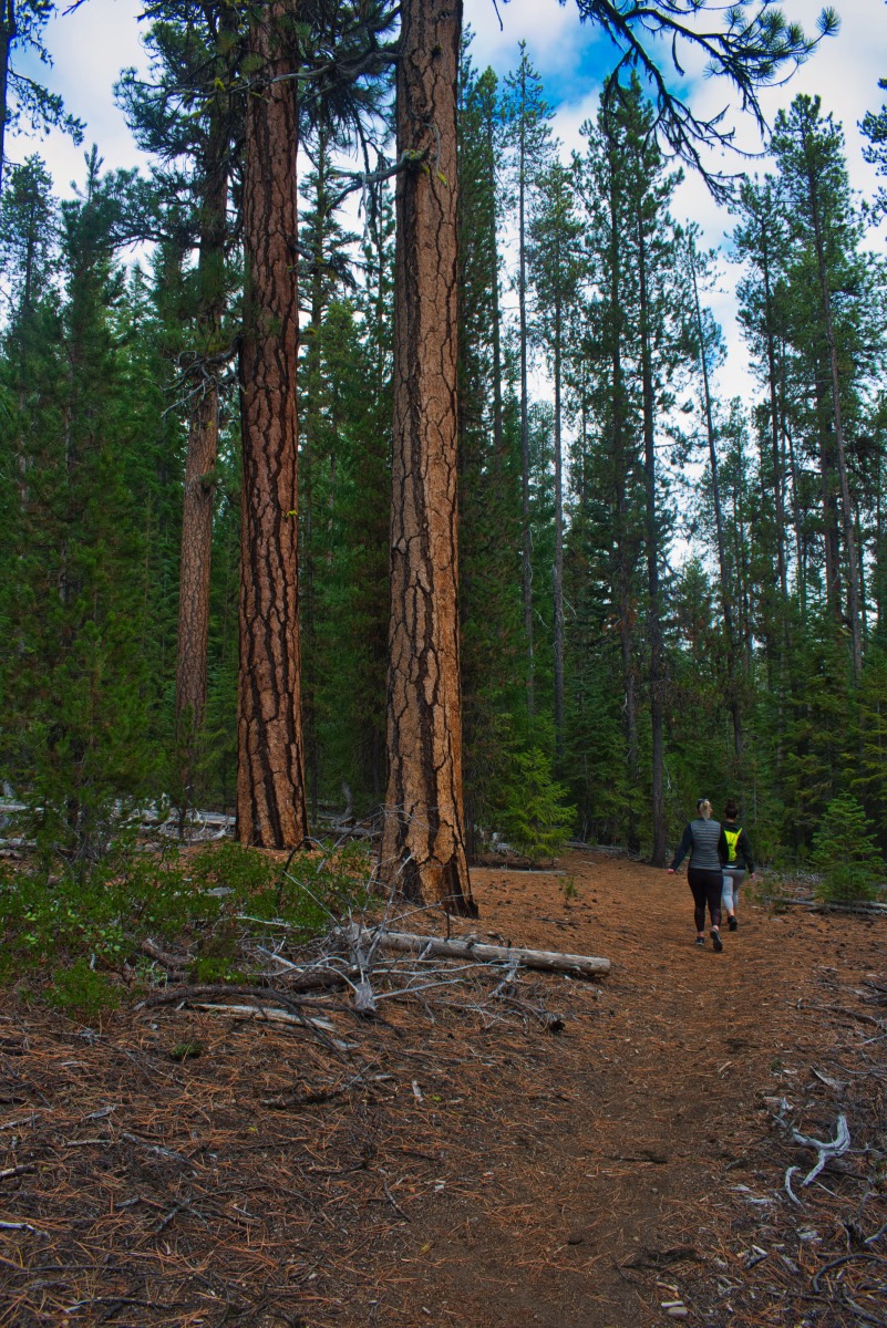 Fawn and Stag Lakes Hike Image