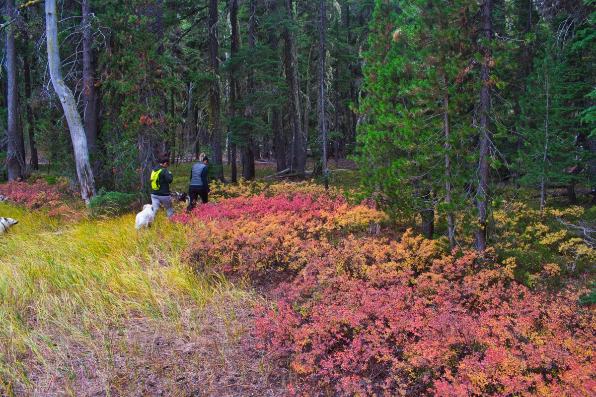 Fawn and Stag Lakes Hike Image