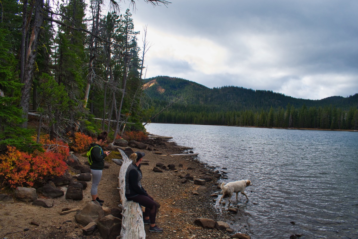 Fawn and Stag Lakes Hike Image