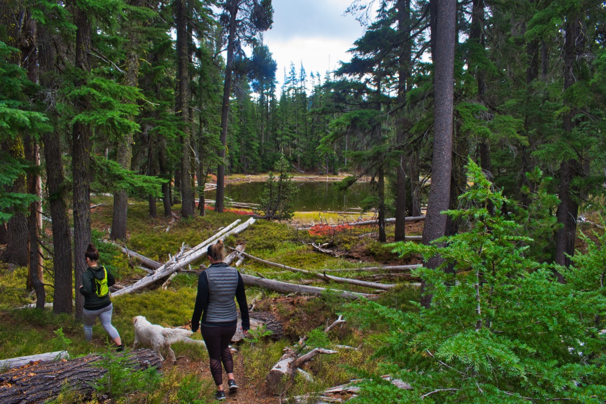 Fawn and Stag Lakes Hike Image