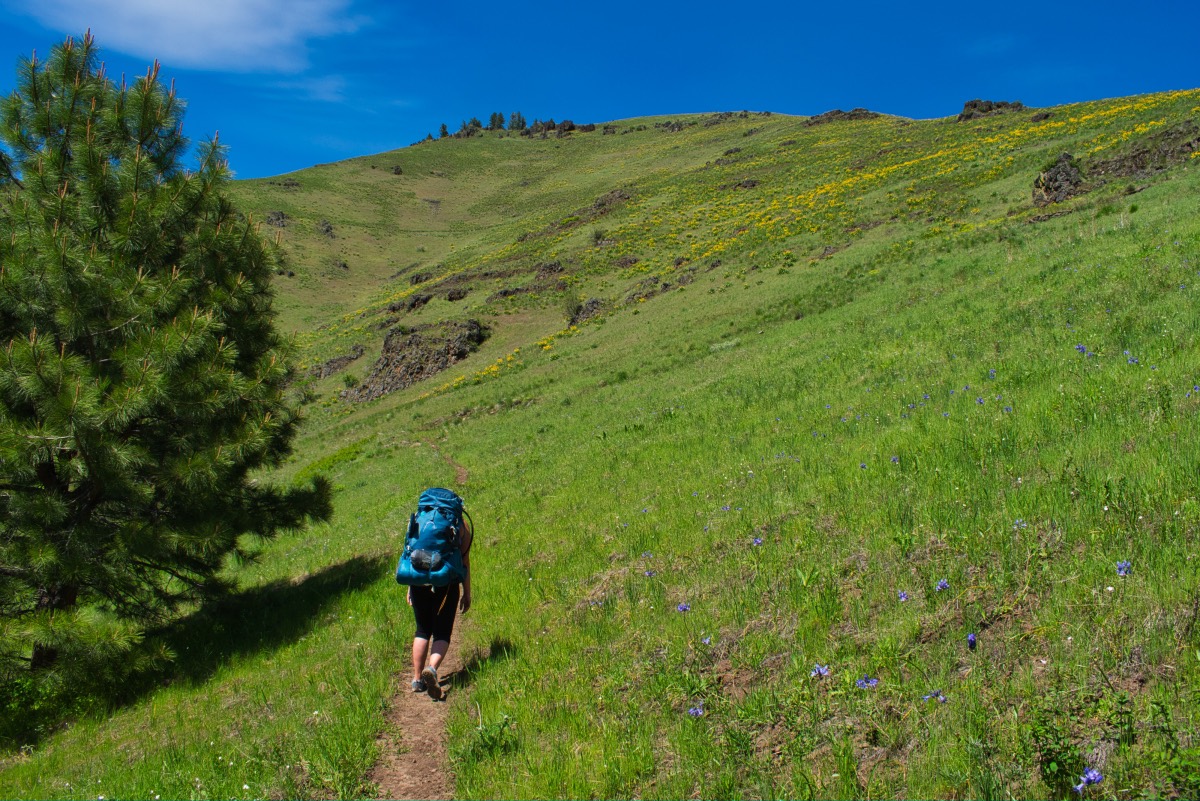 Hells Canyon - Freezeout Saddle to Mark's Cabin Loop Hike Image