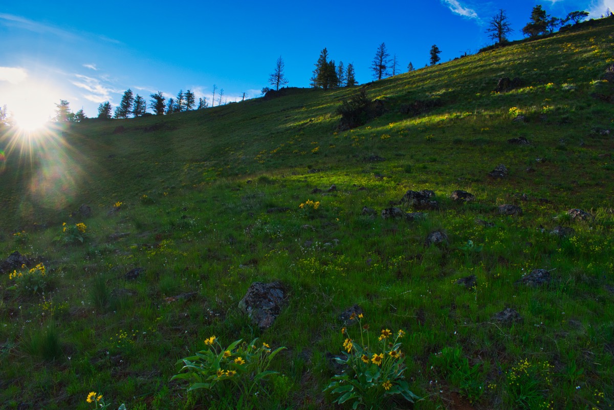 Hells Canyon - Freezeout Saddle to Mark's Cabin Loop Hike Image