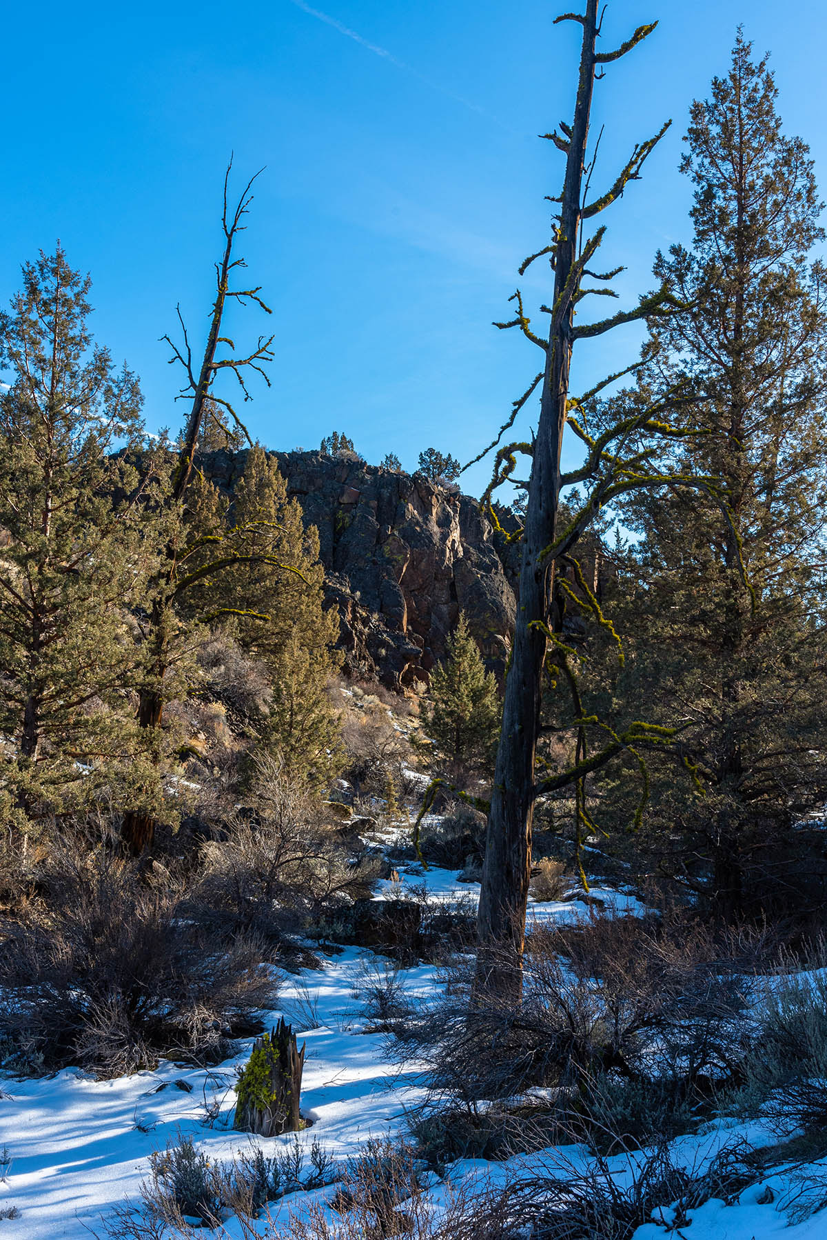 Fryrear Canyon Hike Image