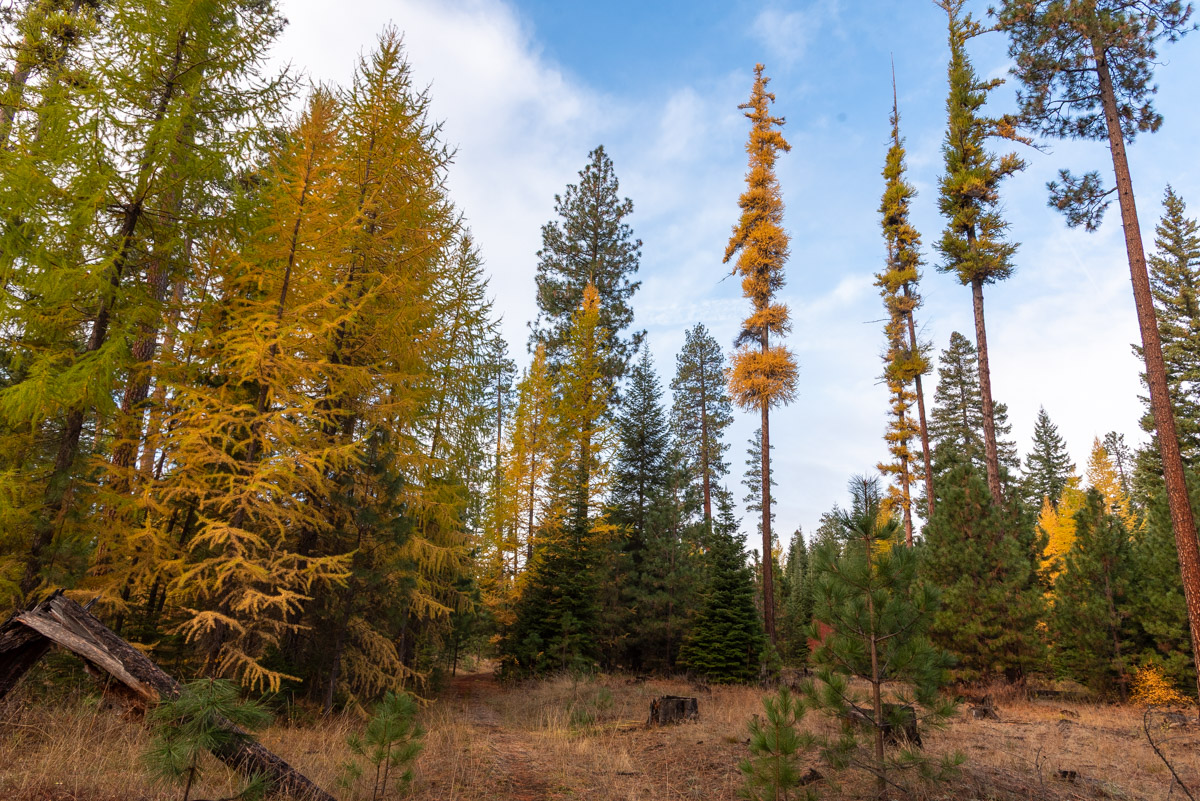 Metolius Preserve - Grand Tour Hike Image