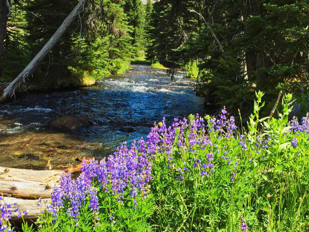 Green Lakes - Soda Creek Loop Hike Image