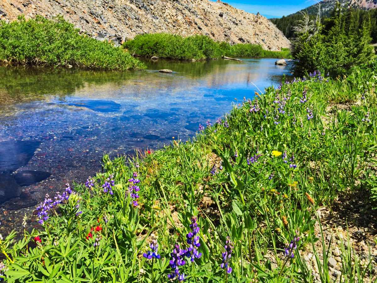 Green Lakes - Soda Creek Loop Hike Image