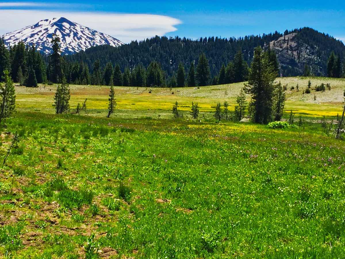 Green Lakes - Soda Creek Loop Hike Image