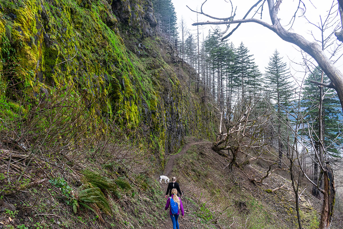 Horsetail to Triple Falls Loop Hike Image