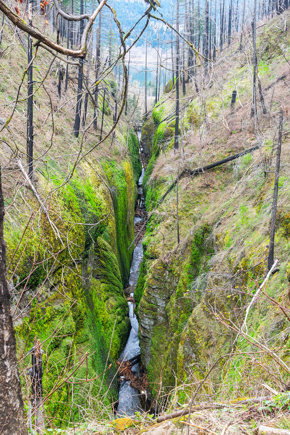 Horsetail to Triple Falls Loop Hike Image