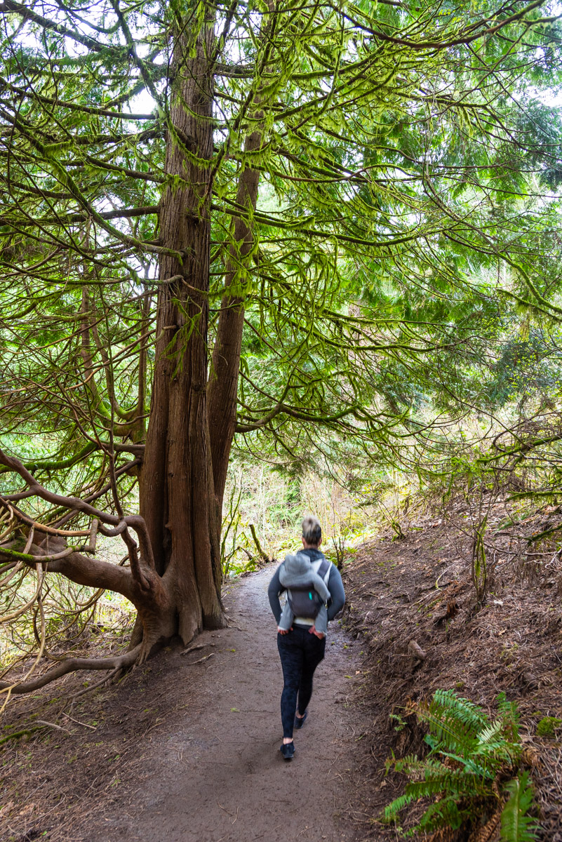 Hoyt Arboretum Hike Image