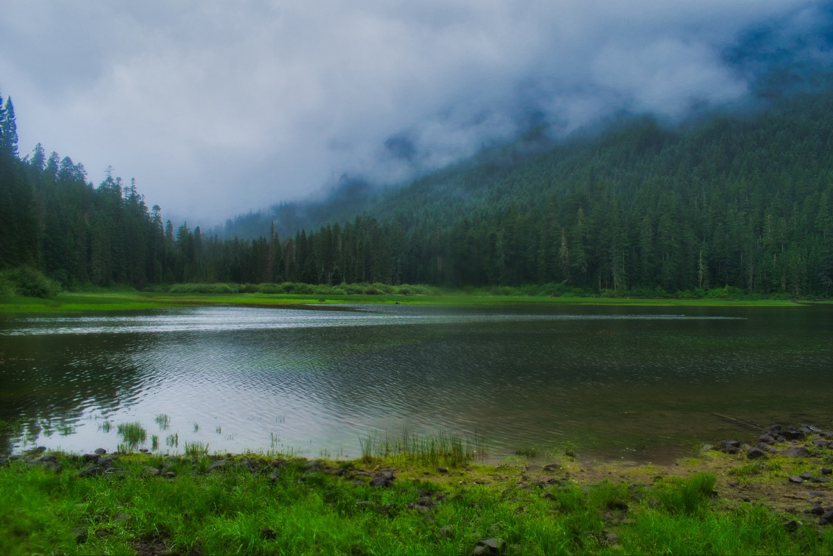 Hunts Cove Hike Image