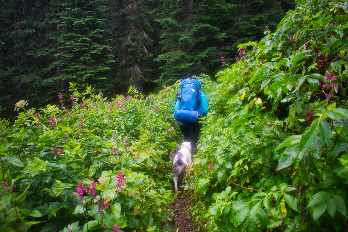 Hunts Cove Hike Image