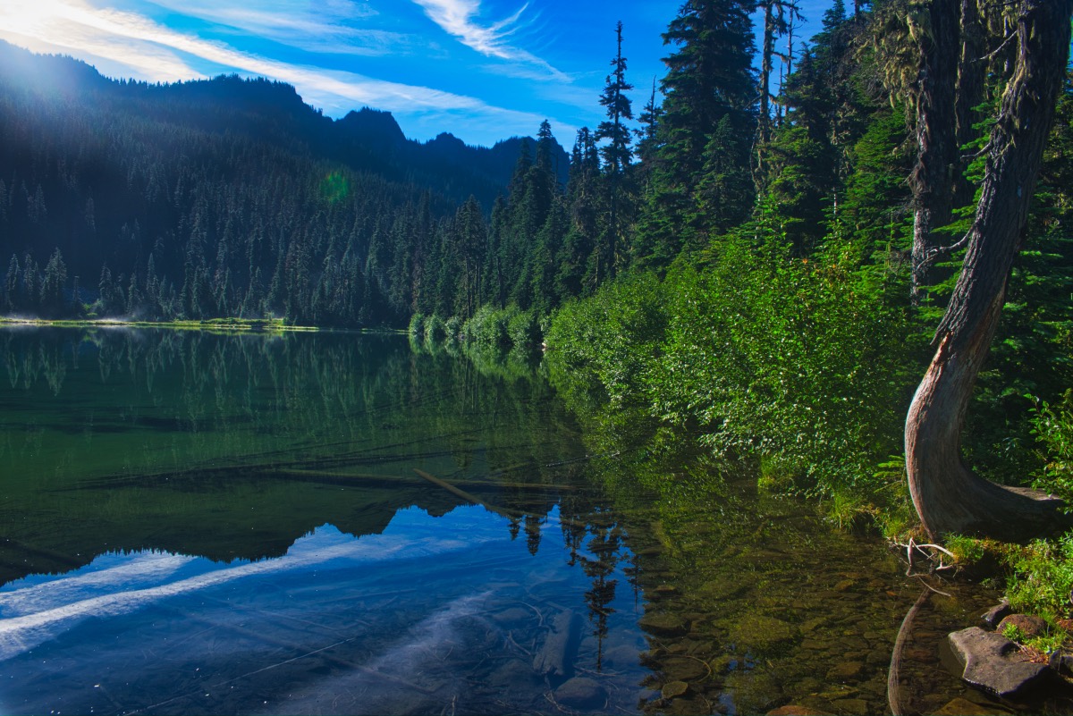 Hunts Cove Hike Image