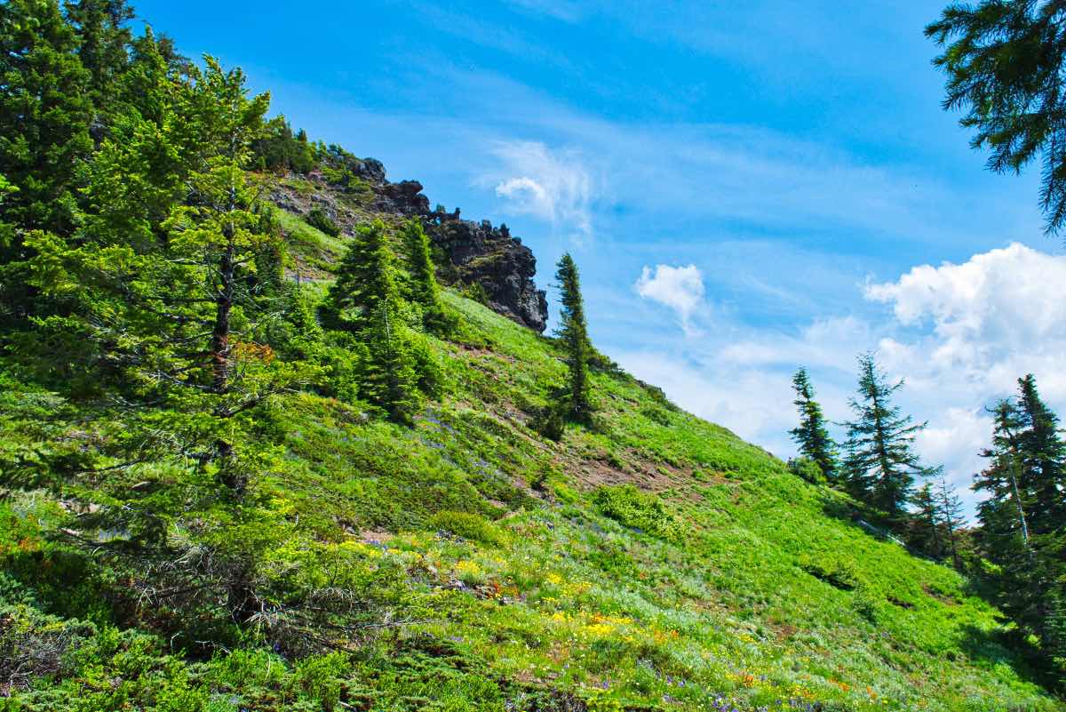 Iron Mountain - Cone Peak Meadows Hike Image
