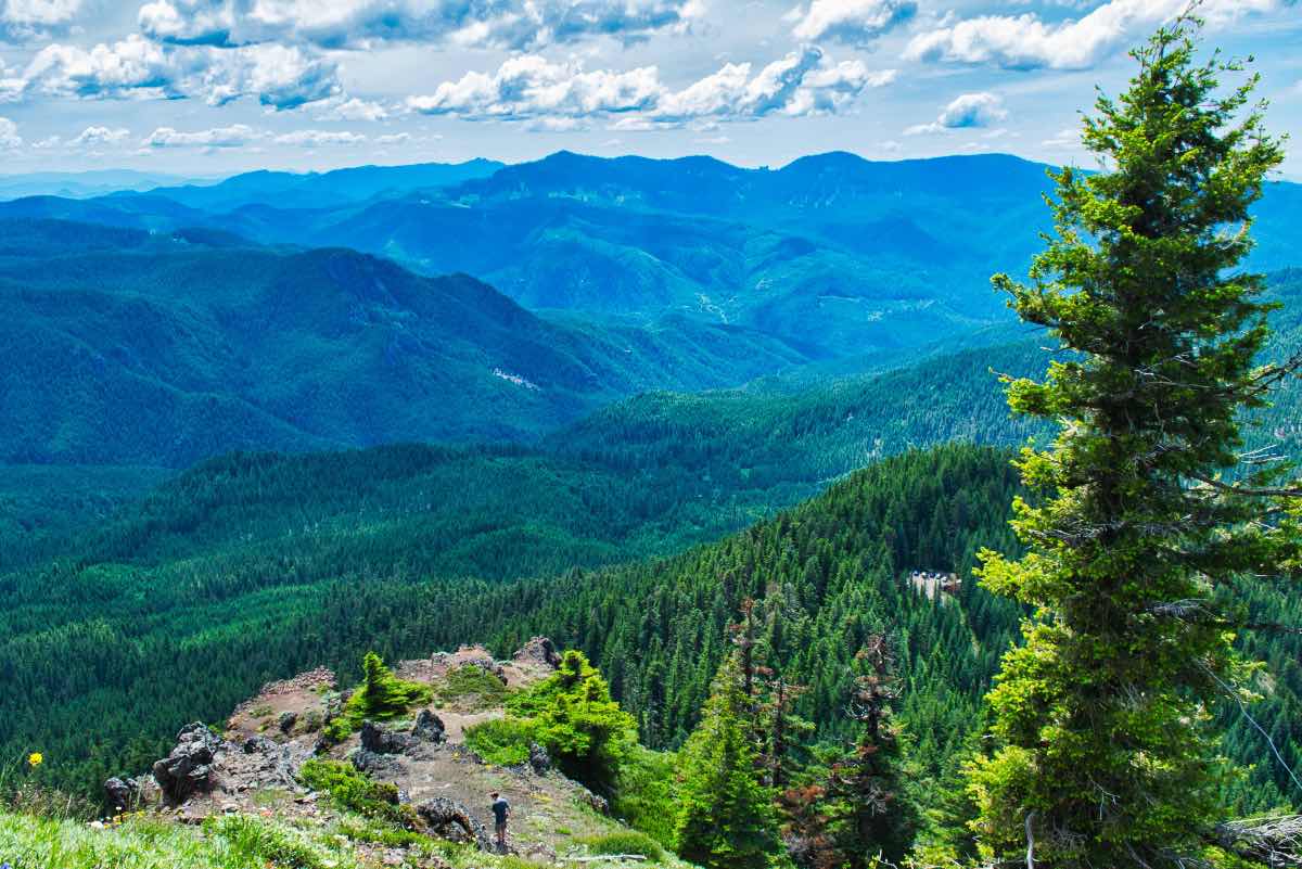 Iron Mountain - Cone Peak Meadows Hike Image
