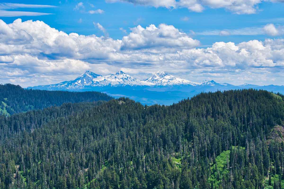 Iron Mountain - Cone Peak Meadows Hike Image