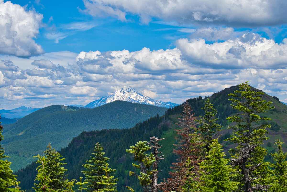 Iron Mountain - Cone Peak Meadows Hike Image