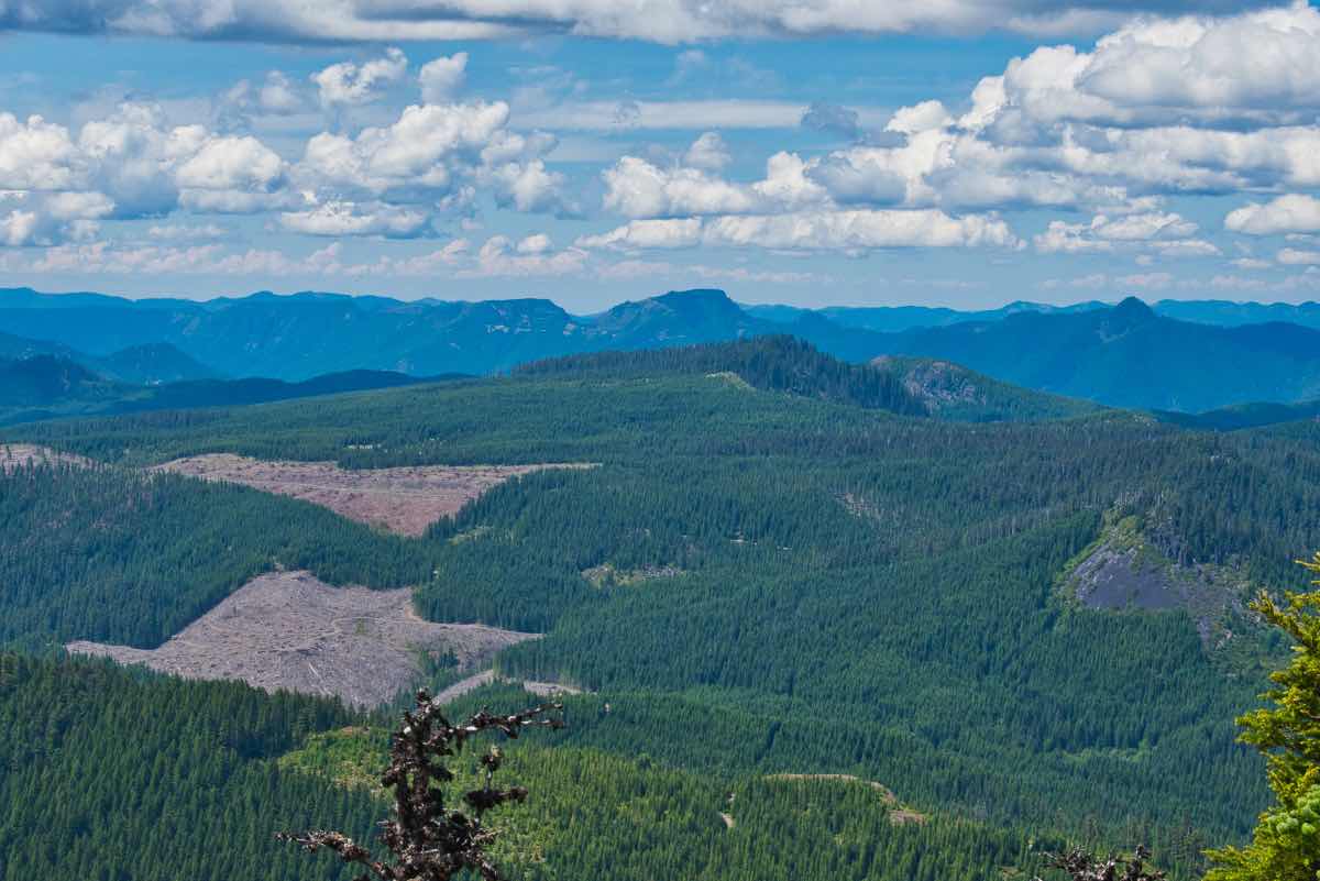 Iron Mountain - Cone Peak Meadows Hike Image