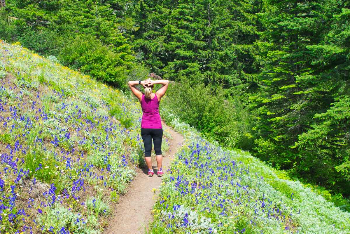 Iron Mountain - Cone Peak Meadows Hike Image