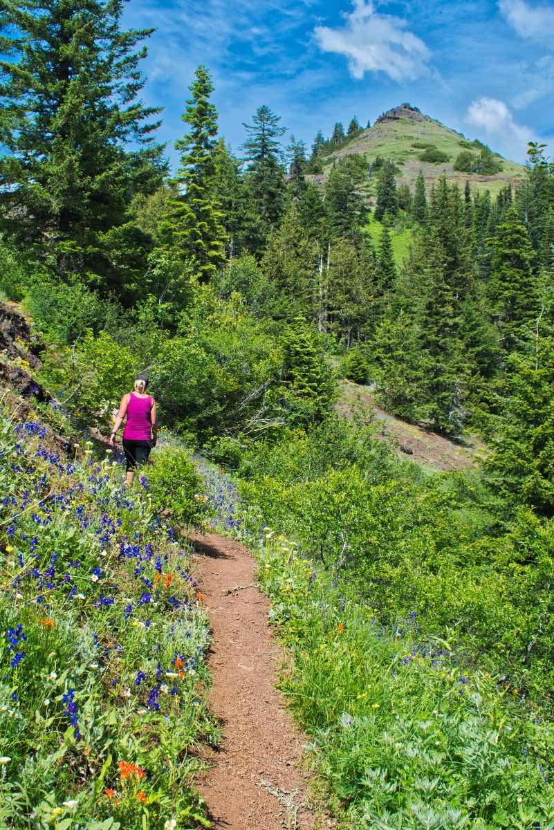 Iron Mountain - Cone Peak Meadows Hike Image