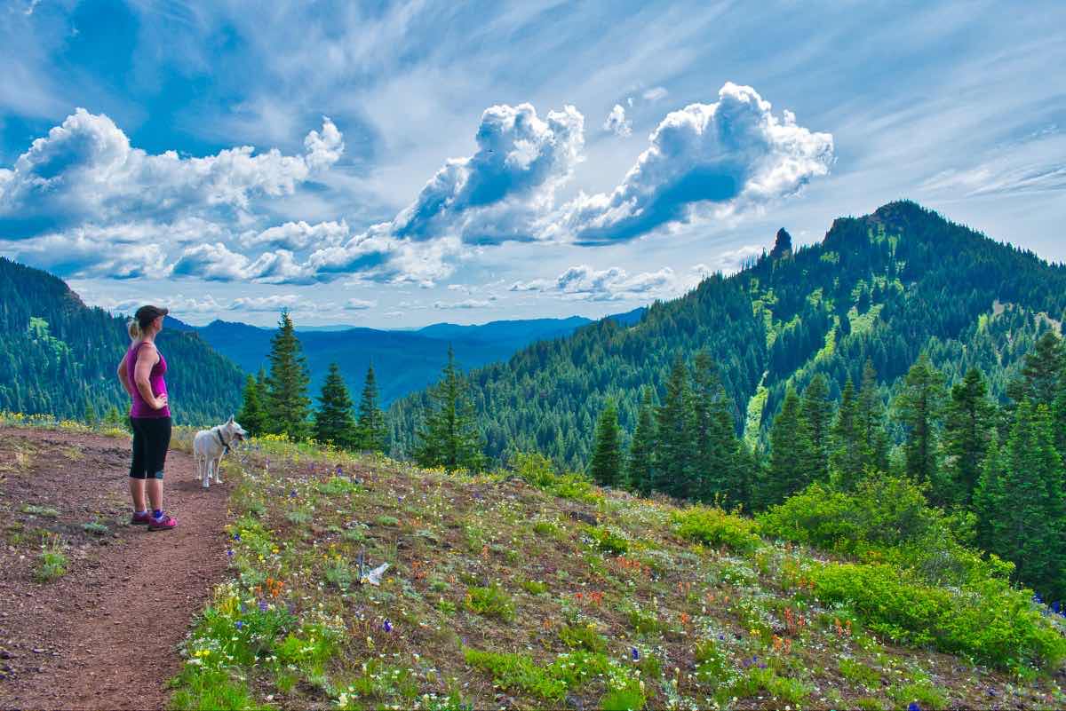 Iron Mountain - Cone Peak Meadows Hike Image