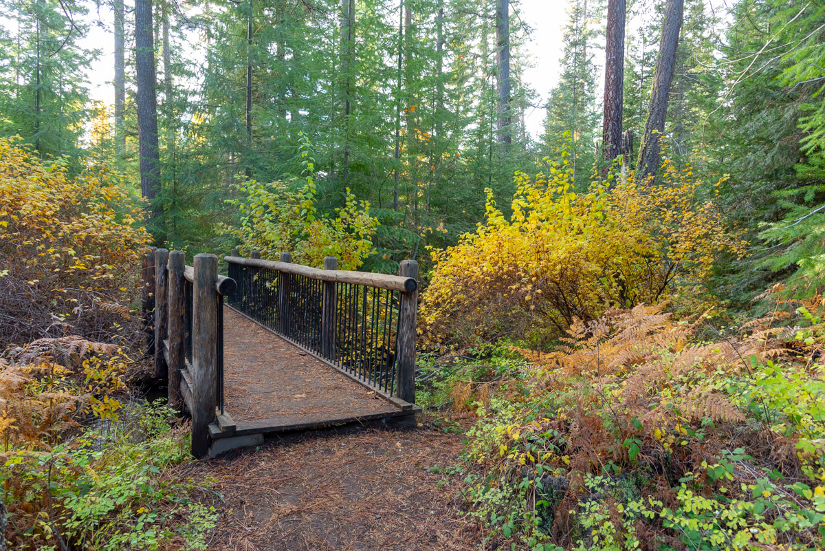 Metolius Preserve - Larch Loop Hike Image
