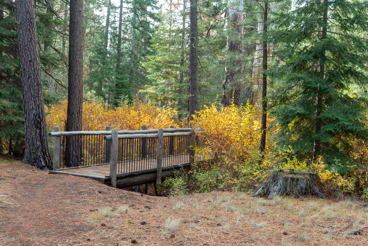Metolius Preserve - Larch Loop Hike Image