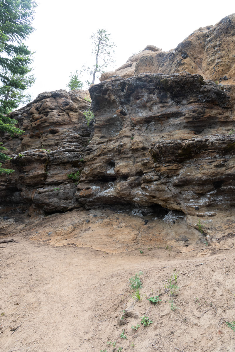 Little Crater Trail Hike Image