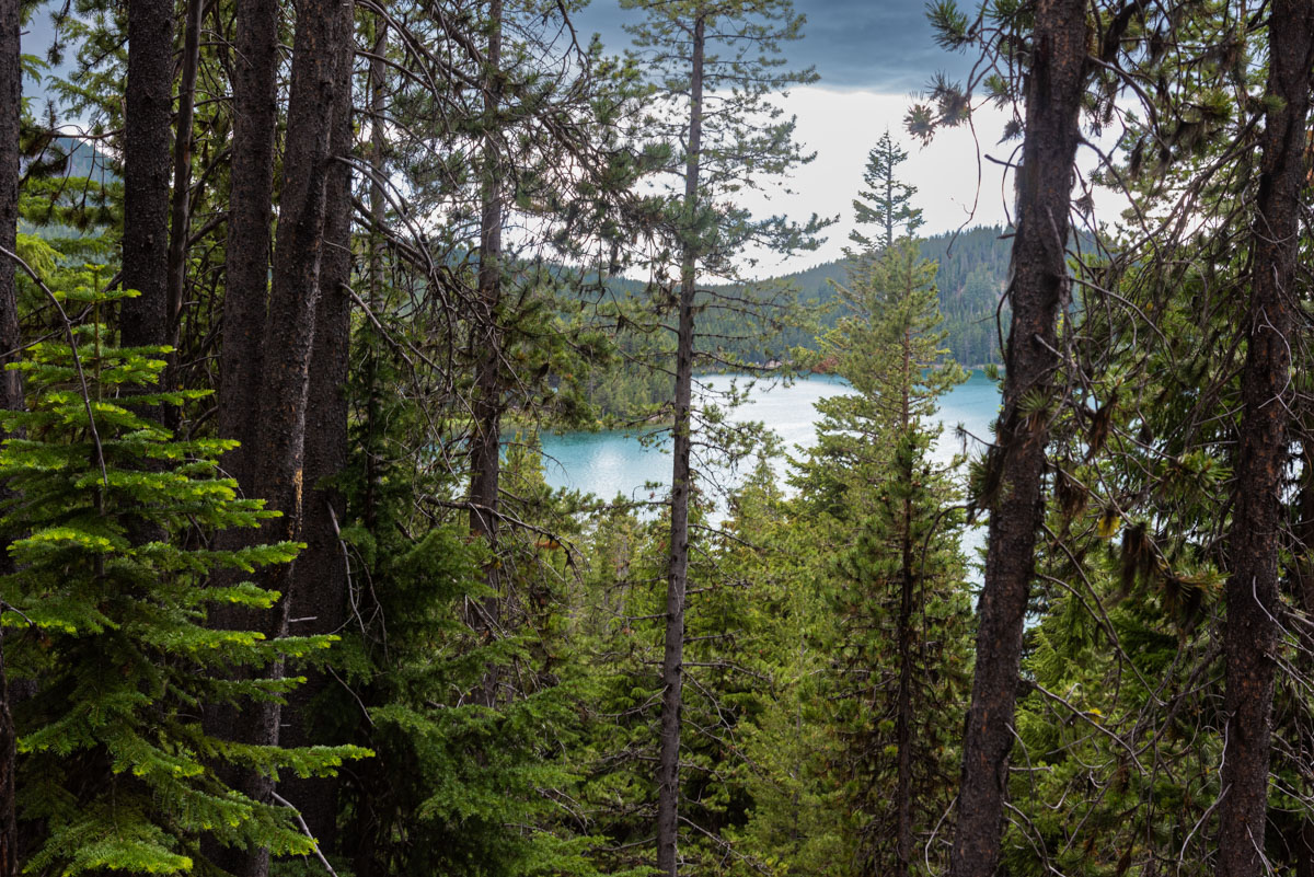 Little Crater Trail Hike Image