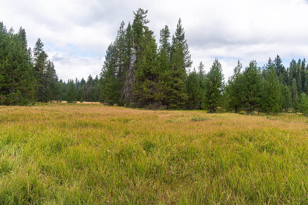 Little Crater Lake Hike Image