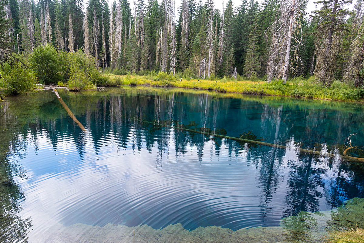 Little Crater Lake Hike Image