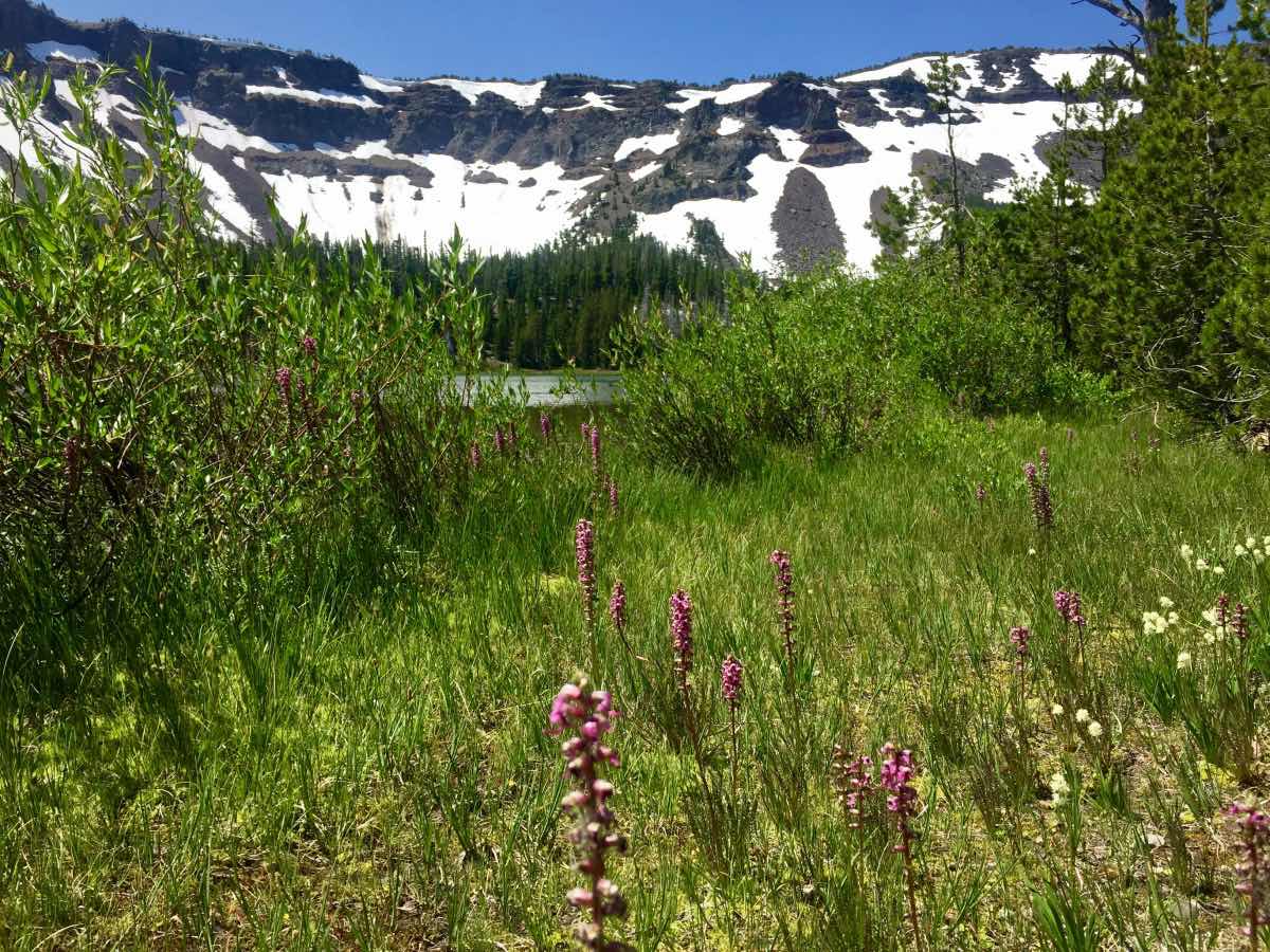 Little Three Creek Lake Hike Image