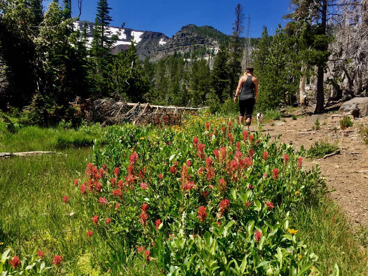 Little Three Creek Lake Hike Image