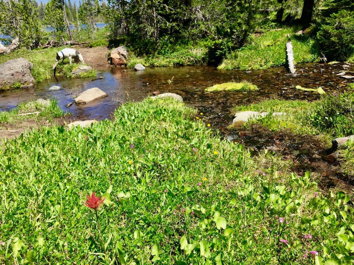 Little Three Creek Lake Hike Image
