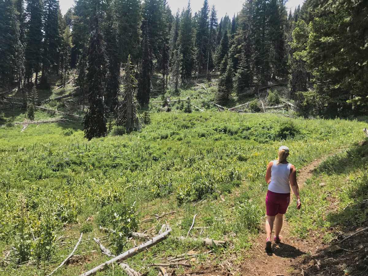 Lookout Mountain - Motherlode Mine Loop Hike Image