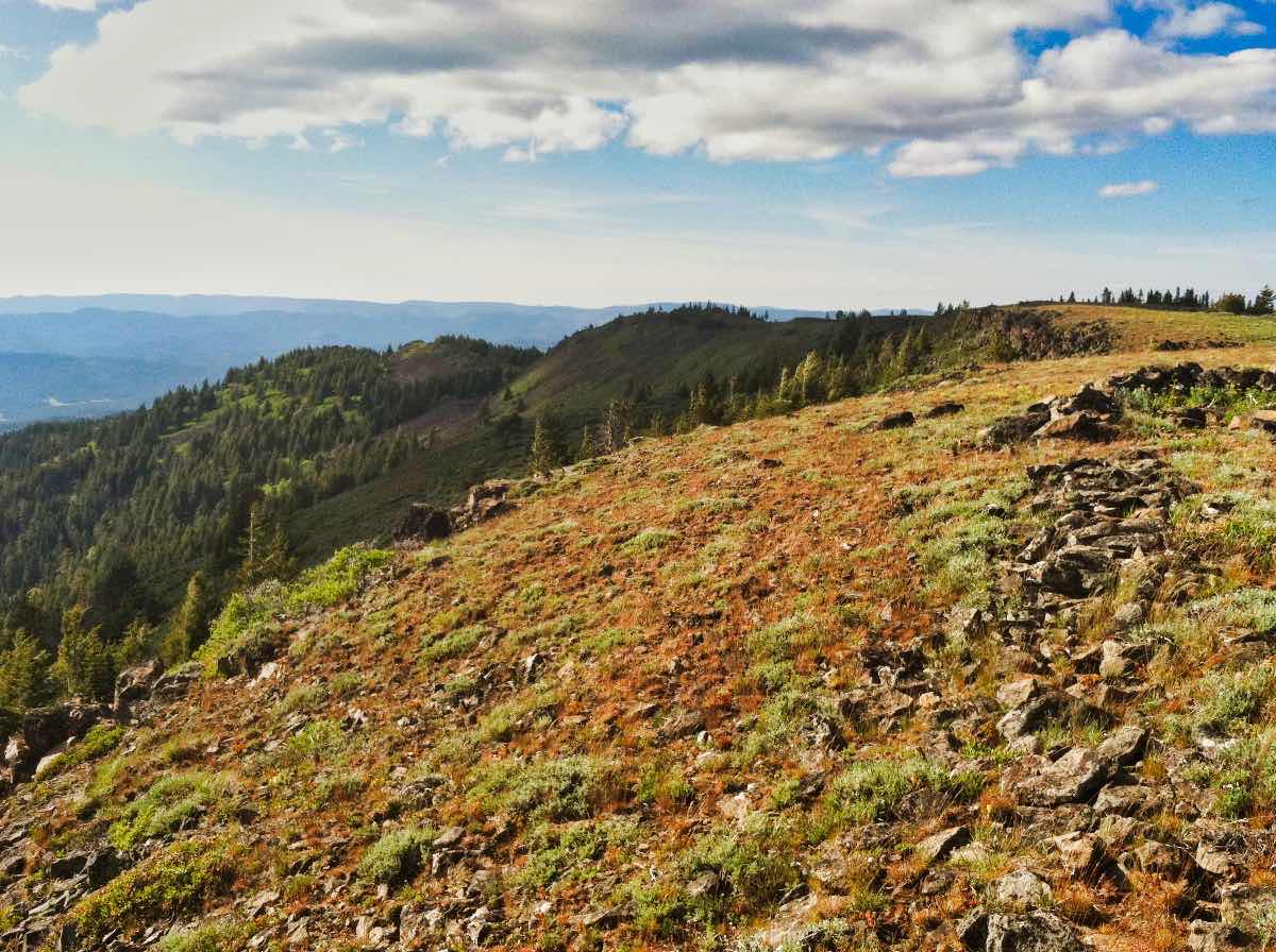 Lookout Mountain - Motherlode Mine Loop Hike Image