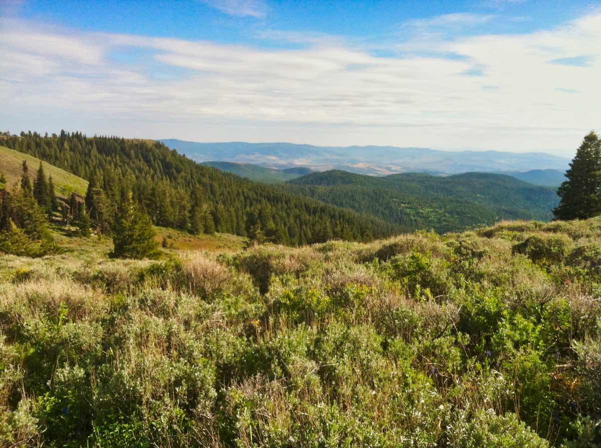 Lookout Mountain - Motherlode Mine Loop Hike Image