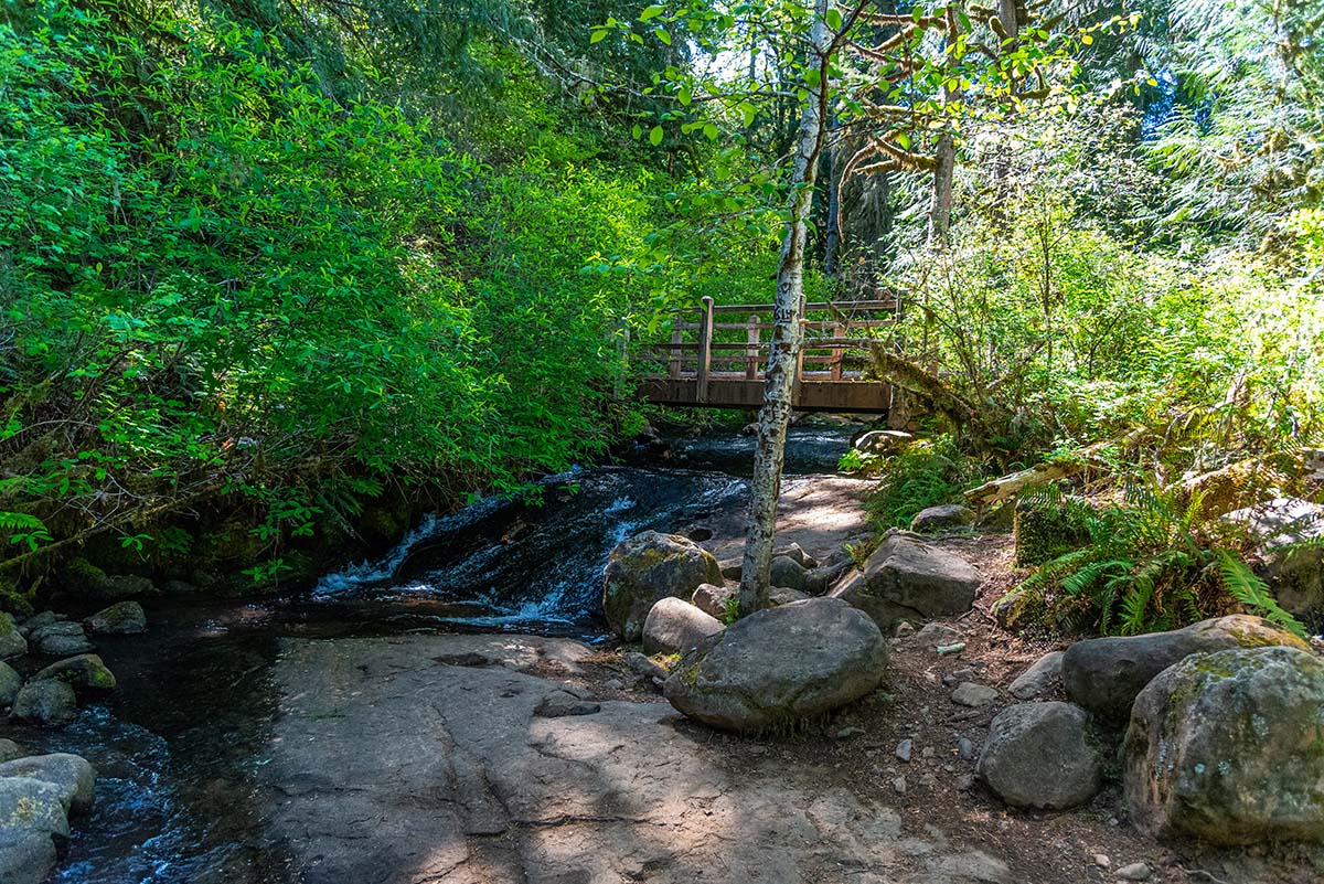 McDowell Creek Falls Loop Hike Image