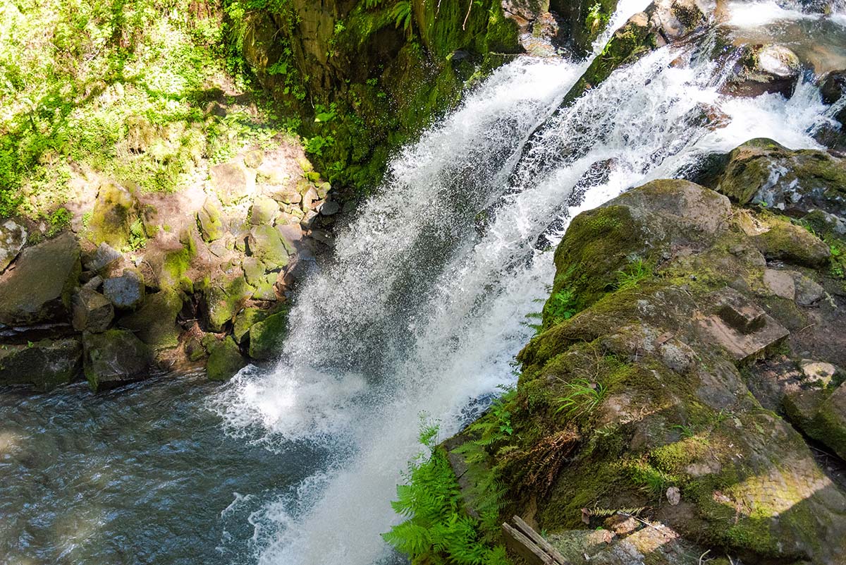 McDowell Creek Falls Loop Hike Image
