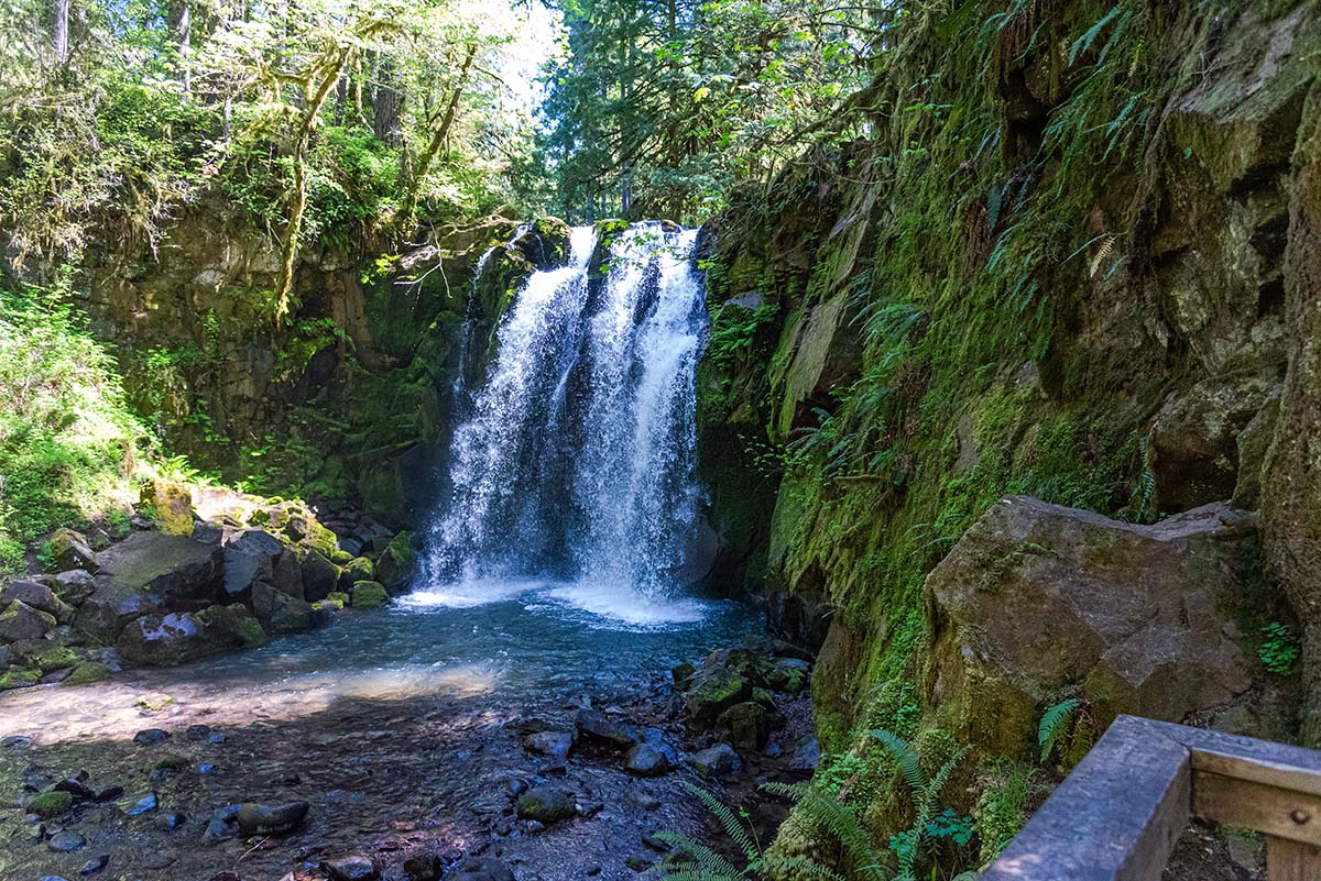 McDowell Creek Falls Loop Hike Image