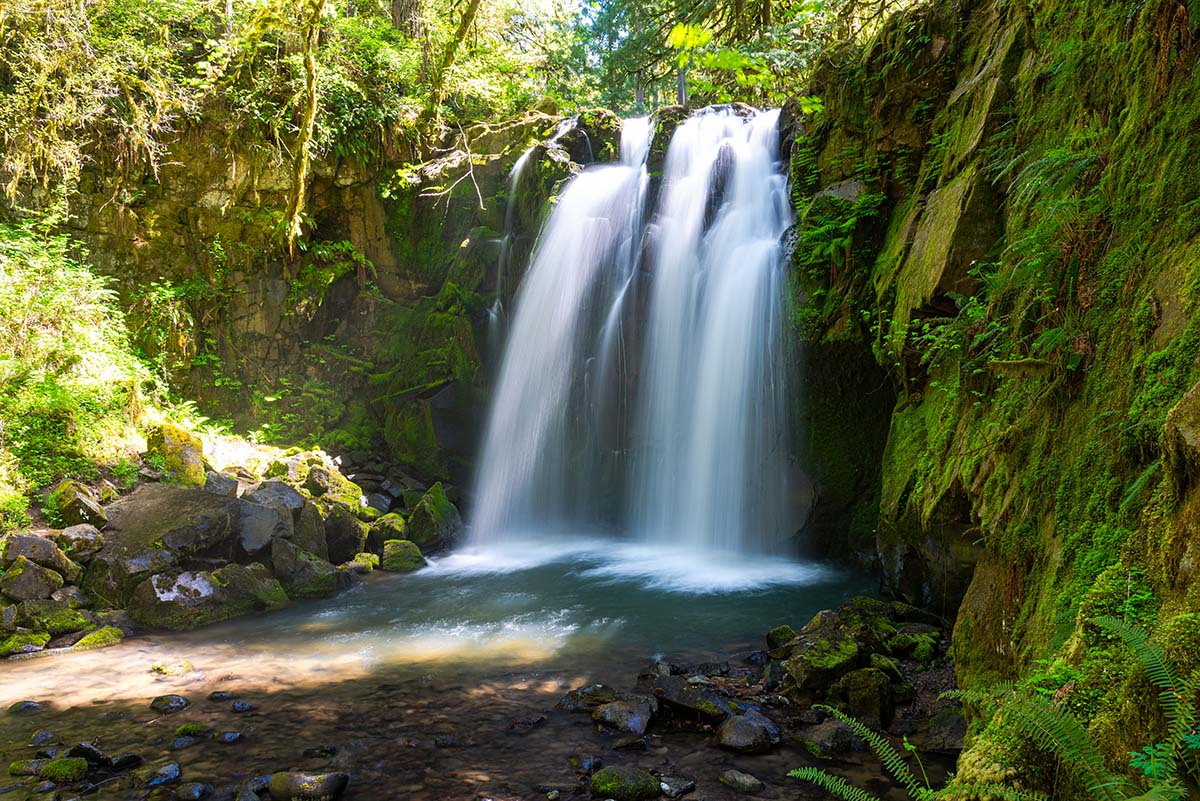 McDowell Creek Falls Loop Hike Image
