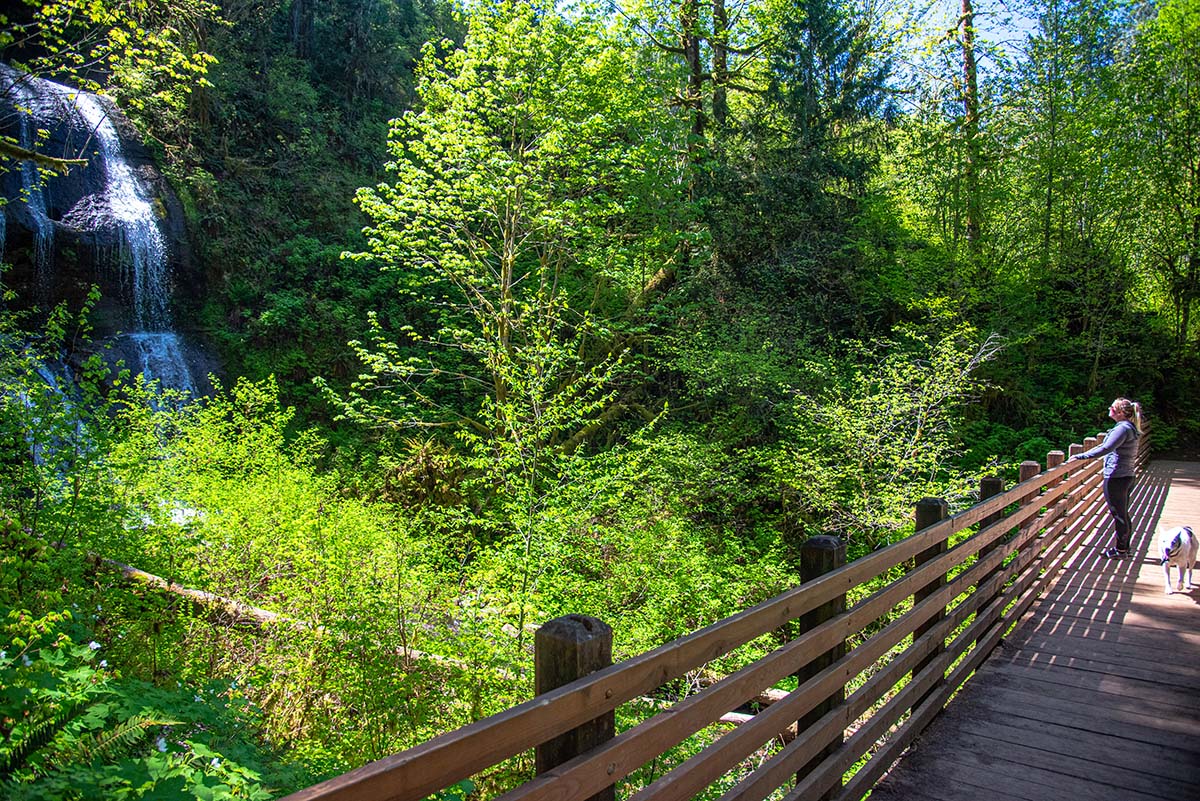 McDowell Creek Falls Loop Hike Image
